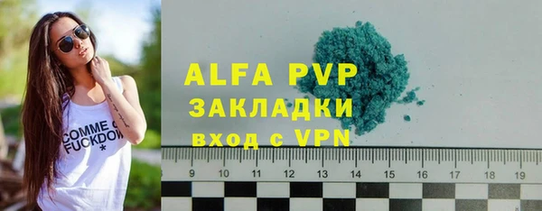 индика Белоозёрский