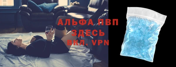 индика Белоозёрский