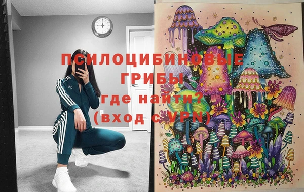 PSILOCYBIN Беломорск