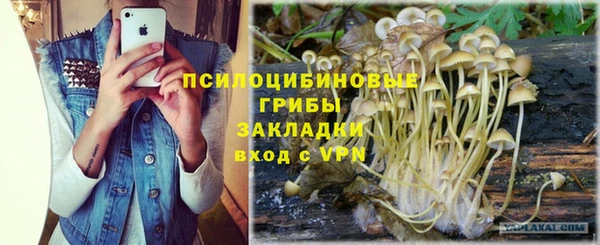 индика Белоозёрский