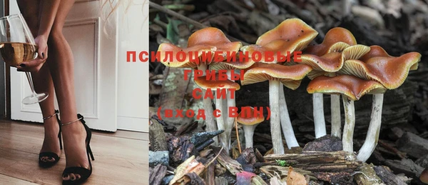 индика Белоозёрский
