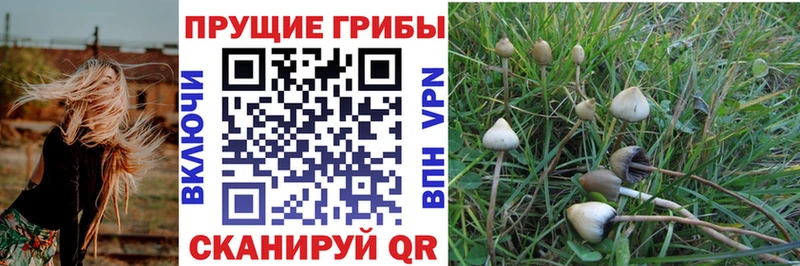 Псилоцибиновые грибы Magic Shrooms  Железноводск 